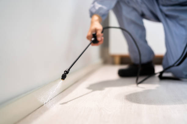 Licensed Fumigation Services service in Lumberton, TX - Nex Pest Control